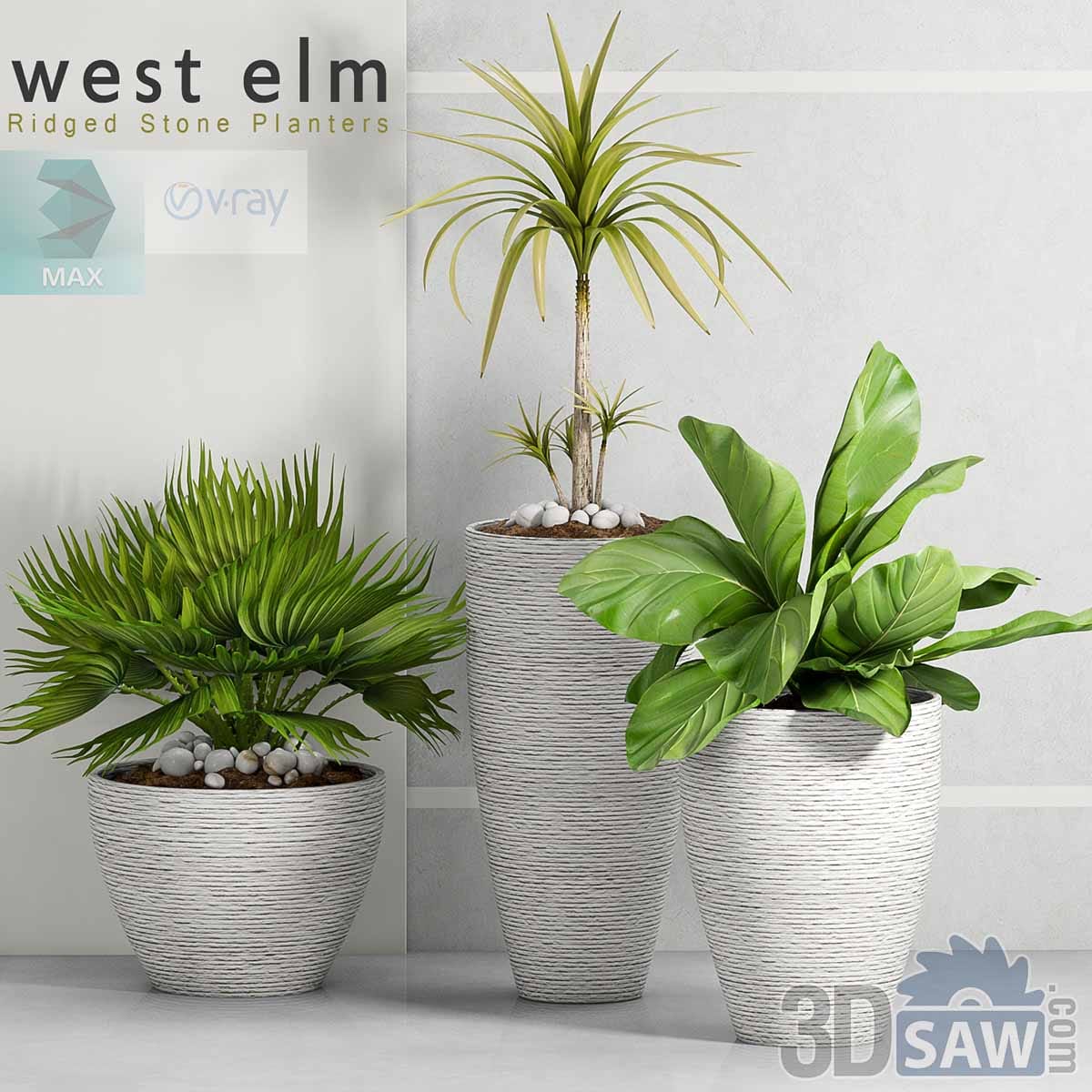 3ds Max modern ridged stone planter collection with palm and fern plants