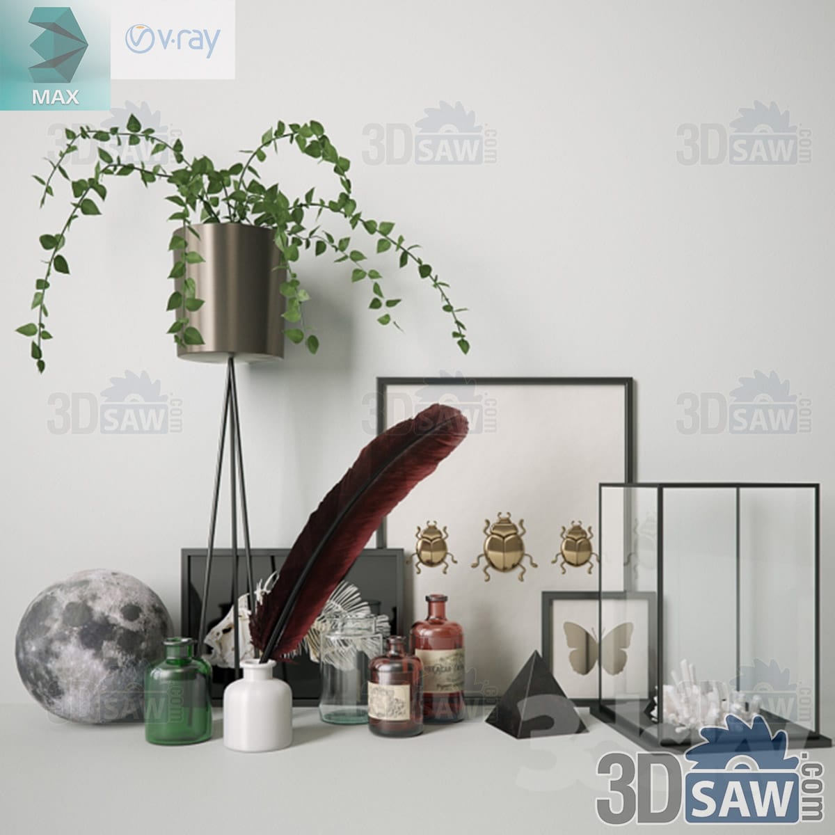 3ds Max curiosities decor set with a trailing plant, moon globe, apothecary bottles and framed insect specimens