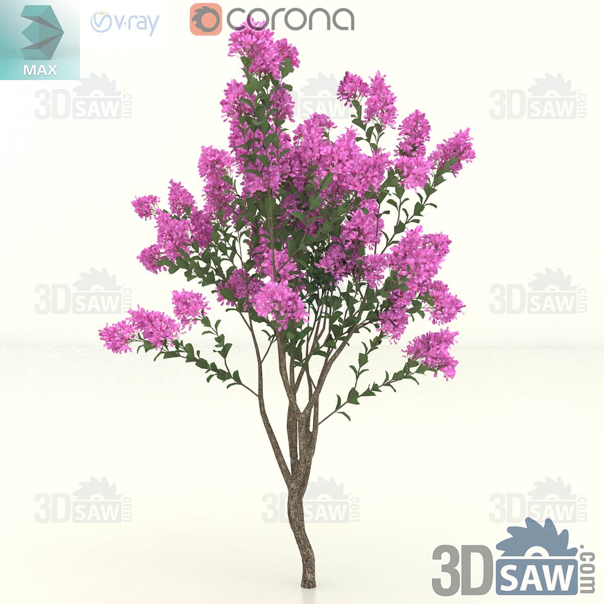 Single-trunk crape myrtle with a gently curved stem and hot-pink flower clusters across the upper crown