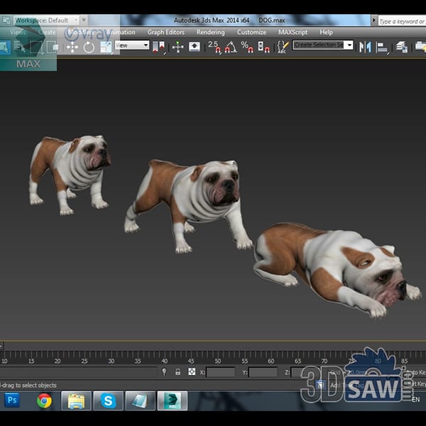 Stocky English bulldog with a wrinkled head and short fawn-and-white coat in standing and lying poses