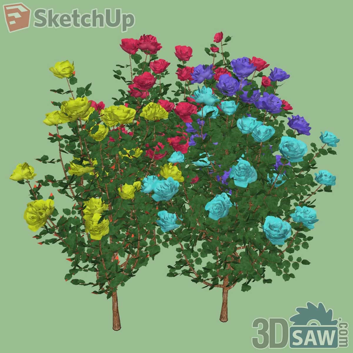 Pair of standard rose bushes with yellow, red, purple and turquoise blooms on thin trunks